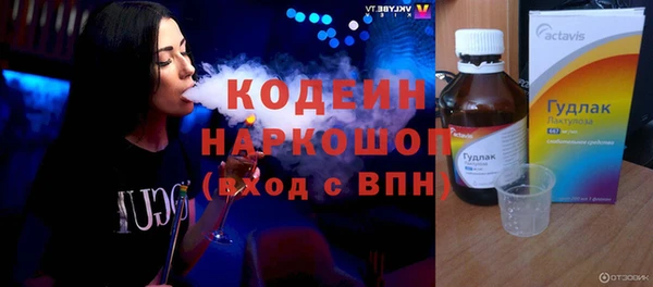 спиды Вяземский