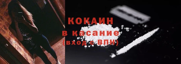 спиды Вяземский