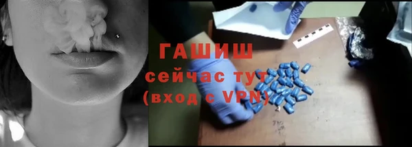 спиды Вяземский