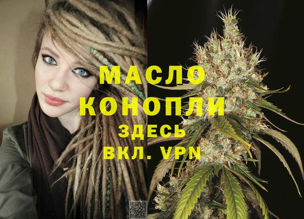 спиды Вяземский