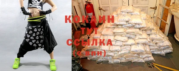 спиды Вяземский