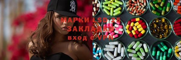 спиды Вяземский