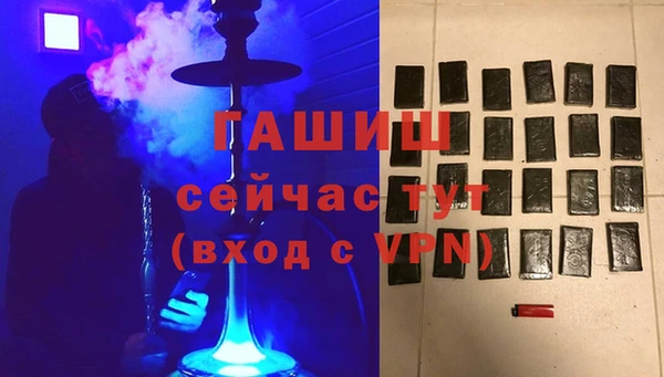 спиды Вяземский
