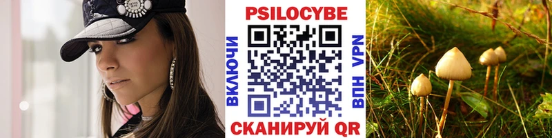 Купить  Амурск  Псилоцибиновые грибы Psilocybine cubensis 